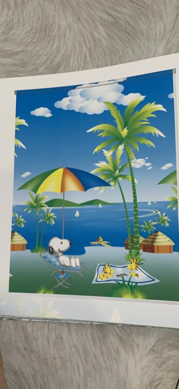 Rèm cuốn tranh NC01 